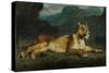Lioness Reclining, C.1855-Eugene Delacroix-Stretched Canvas