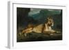 Lioness Reclining, C.1855-Eugene Delacroix-Framed Giclee Print