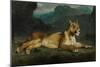 Lioness Reclining, C.1855-Eugene Delacroix-Mounted Giclee Print