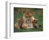 Lioness Resting with Cubs-Joe McDonald-Framed Photographic Print