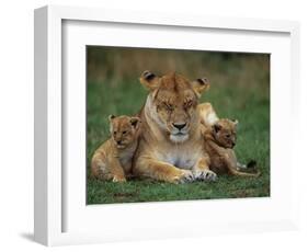 Lioness Resting with Cubs-Joe McDonald-Framed Photographic Print