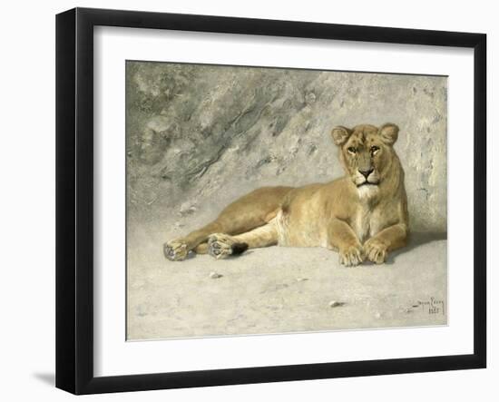 Lioness Resting-Jan van Essen-Framed Art Print