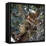 Lioness Rests in a Fig Tree in the Ishasha Area of Queen Elizabeth National Park-Nigel Pavitt-Framed Stretched Canvas