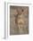 Lioness, Samburu National Reserve, Kenya, East Africa, Africa-James Hager-Framed Photographic Print