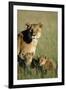 Lioness Sitting with Cubs-Paul Souders-Framed Premium Photographic Print