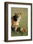 Lioness Sitting with Cubs-Paul Souders-Framed Photographic Print