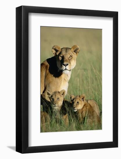 Lioness Sitting with Cubs-Paul Souders-Framed Photographic Print