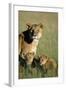 Lioness Sitting with Cubs-Paul Souders-Framed Photographic Print