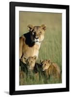 Lioness Sitting with Cubs-Paul Souders-Framed Photographic Print