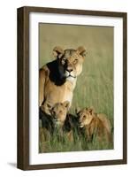 Lioness Sitting with Cubs-Paul Souders-Framed Photographic Print