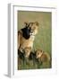 Lioness Sitting with Cubs-Paul Souders-Framed Photographic Print