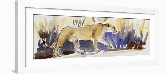 Lioness sketch, 2014-Francesca Sanders-Framed Giclee Print