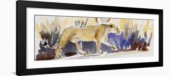 Lioness sketch, 2014-Francesca Sanders-Framed Giclee Print