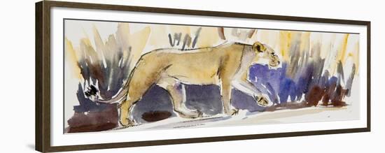 Lioness sketch, 2014-Francesca Sanders-Framed Giclee Print