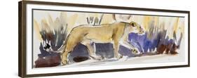 Lioness sketch, 2014-Francesca Sanders-Framed Giclee Print