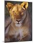 Lioness Tanzania Africa-null-Mounted Photographic Print