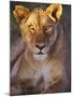 Lioness Tanzania Africa-null-Mounted Photographic Print