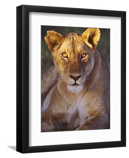 Premium Photographic Print, , large