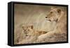 Lioness with Cub in Masai Mara National Reserve-Paul Souders-Framed Stretched Canvas