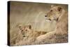 Lioness with Cub in Masai Mara National Reserve-Paul Souders-Stretched Canvas