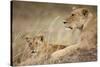 Lioness with Cub in Masai Mara National Reserve-Paul Souders-Stretched Canvas