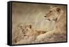 Lioness with Cub in Masai Mara National Reserve-Paul Souders-Framed Stretched Canvas