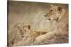 Lioness with Cub in Masai Mara National Reserve-Paul Souders-Stretched Canvas