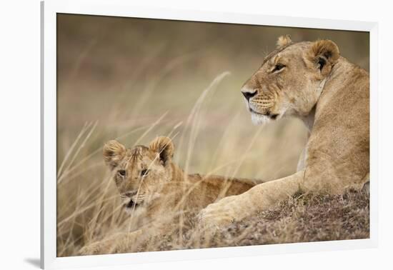 Lioness with Cub in Masai Mara National Reserve-Paul Souders-Framed Photographic Print