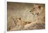 Lioness with Cub in Masai Mara National Reserve-Paul Souders-Framed Photographic Print