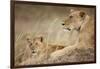 Lioness with Cub in Masai Mara National Reserve-Paul Souders-Framed Photographic Print