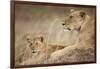 Lioness with Cub in Masai Mara National Reserve-Paul Souders-Framed Photographic Print