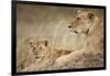 Lioness with Cub in Masai Mara National Reserve-Paul Souders-Framed Photographic Print
