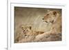 Lioness with Cub in Masai Mara National Reserve-Paul Souders-Framed Photographic Print