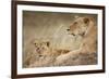 Lioness with Cub in Masai Mara National Reserve-Paul Souders-Framed Photographic Print