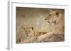 Lioness with Cub in Masai Mara National Reserve-Paul Souders-Framed Photographic Print