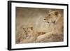 Lioness with Cub in Masai Mara National Reserve-Paul Souders-Framed Photographic Print