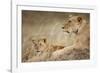 Lioness with Cub in Masai Mara National Reserve-Paul Souders-Framed Photographic Print