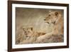 Lioness with Cub in Masai Mara National Reserve-Paul Souders-Framed Photographic Print