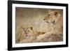 Lioness with Cub in Masai Mara National Reserve-Paul Souders-Framed Photographic Print