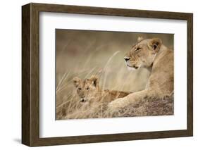 Lioness with Cub in Masai Mara National Reserve-Paul Souders-Framed Photographic Print