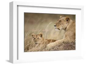 Lioness with Cub in Masai Mara National Reserve-Paul Souders-Framed Photographic Print