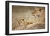 Lioness with Cub in Masai Mara National Reserve-Paul Souders-Framed Photographic Print