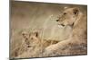 Lioness with Cub in Masai Mara National Reserve-Paul Souders-Mounted Photographic Print