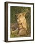 Lioness with Cub, Masai Mara National Reserve, Kenya, East Africa, Africa-James Hager-Framed Photographic Print