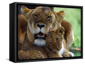 Lioness with Cub-Joe McDonald-Framed Stretched Canvas