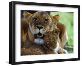 Lioness with Cub-Joe McDonald-Framed Premium Photographic Print