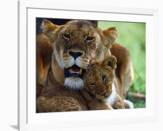 Lioness with Cub-Joe McDonald-Framed Photographic Print