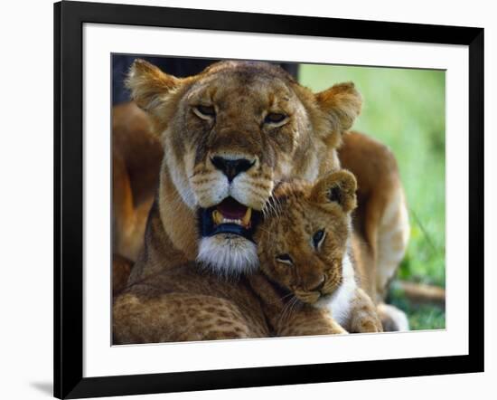 Lioness with Cub-Joe McDonald-Framed Photographic Print