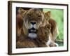 Lioness with Cub-Joe McDonald-Framed Photographic Print