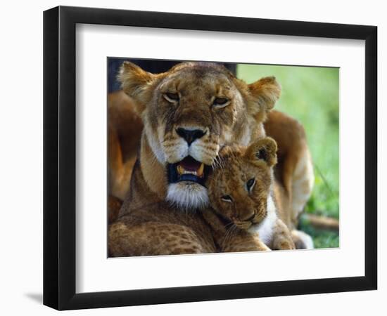 Lioness with Cub-Joe McDonald-Framed Photographic Print